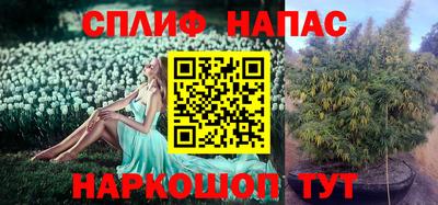 стафф Гусиноозёрск