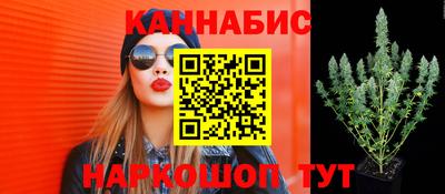стафф Гусиноозёрск