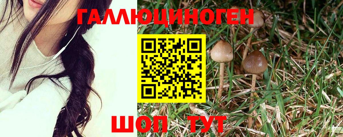 Глазов  Псилоцибиновые грибы Magic Shrooms  Вход с VPN 
