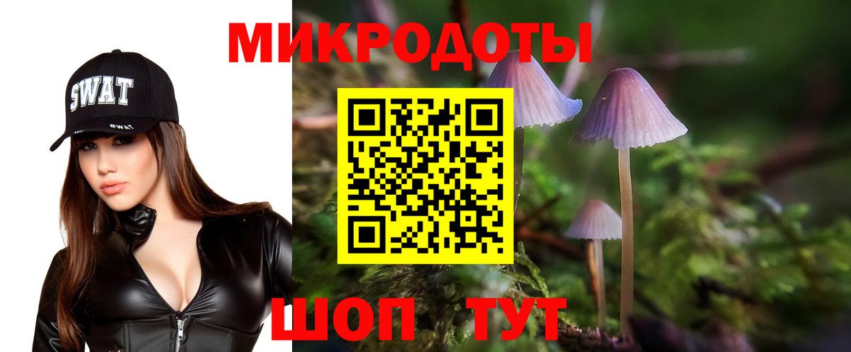 Псилоцибиновые грибы GOLDEN TEACHER Глазов